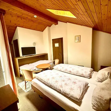 Hotel Central 2* Agarn