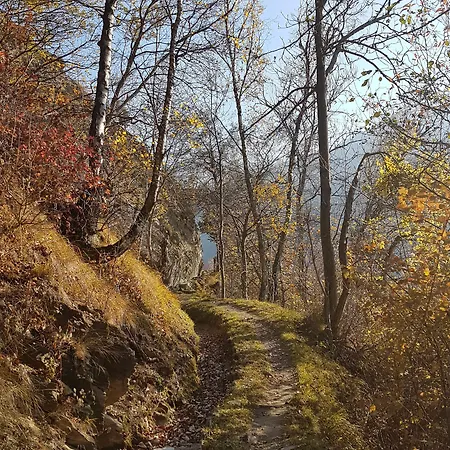 Hotel Central 2* Agarn