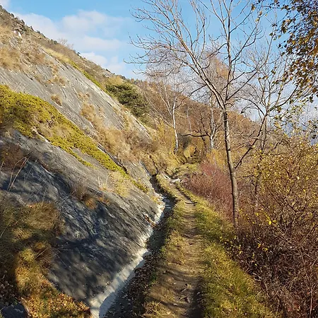 Gasthof Hotel Central