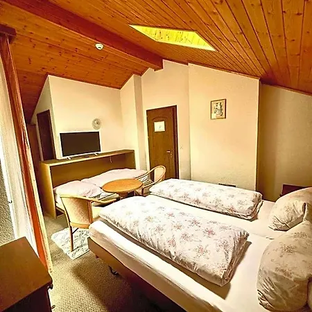 Hotel Central 2* Agarn