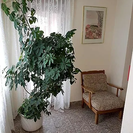 Hotel Central 2*