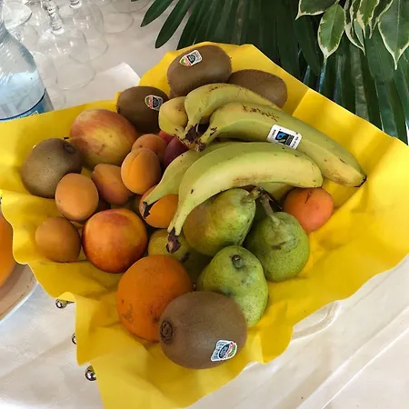 Hotel Central Inn 2*