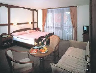 Hotel Central 2* Agarn