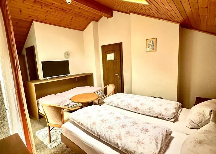 Hotel Central 2* Agarn