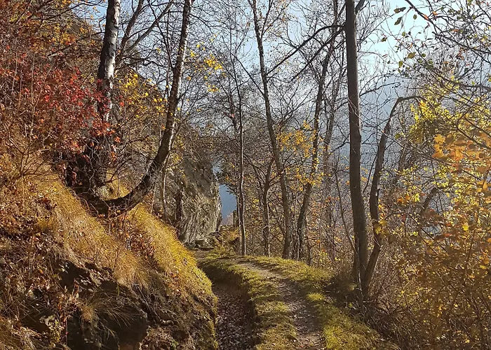 Hotel Central 2* Agarn